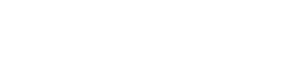 holgertewis.de